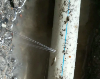六枝特卫生间测漏水多少钱